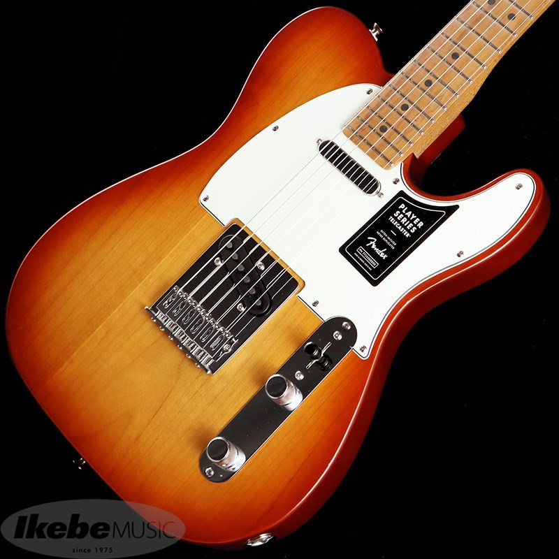 Fender MEX Limited Edition Player Telecaster Roasted Maple Neckの画像